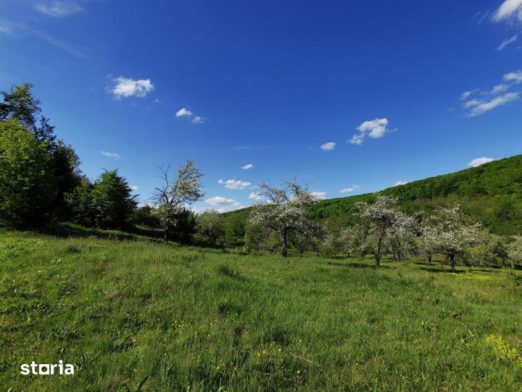 Teren de 680 mp, în Budeasa