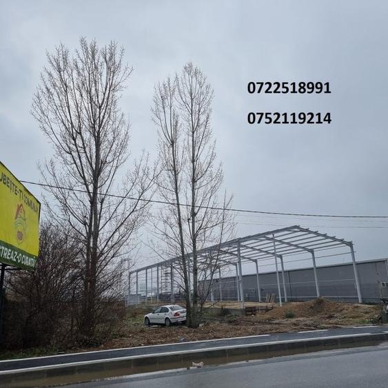 Teren Construcții extravilan de 4500 mp, în Palanca