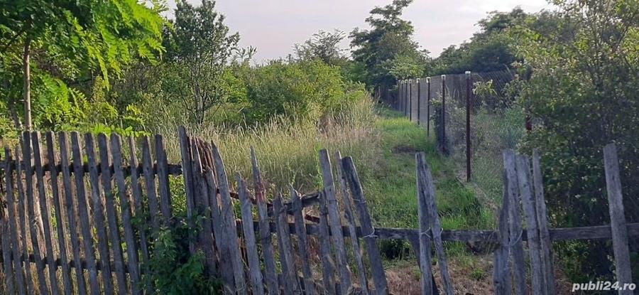 Teren în Mircea Vodă
