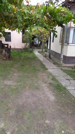 Casă cu 5 camere în Jiana