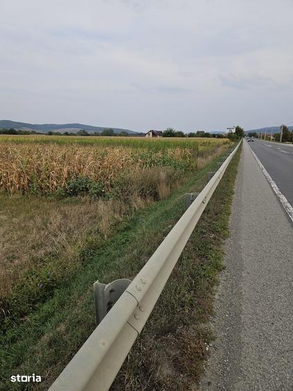 Teren de 2900 mp, în Central