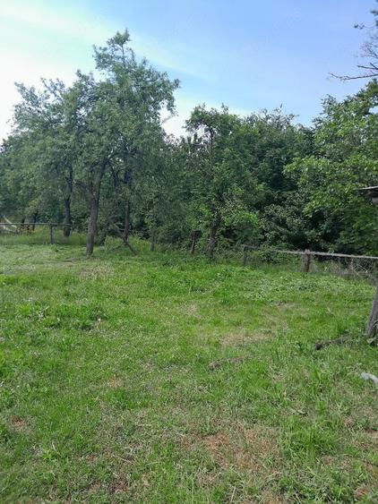 Casă cu Teren 3850 Mp în Roșia