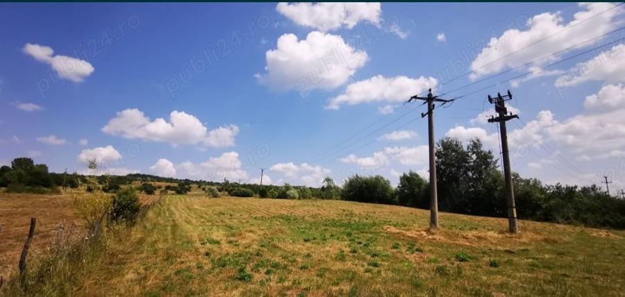 Teren de 18100 mp, în Domnești