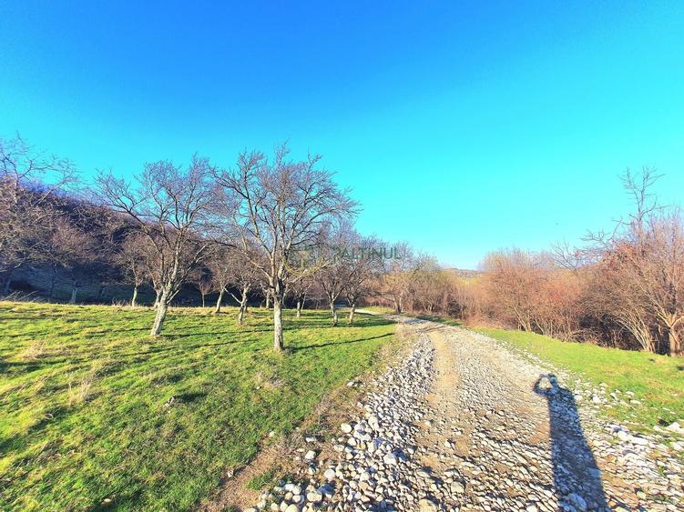 Teren Construcții intravilan de 1641 mp, în Exterior Est