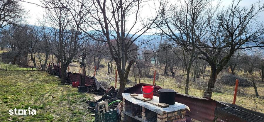 Teren de 4300 mp, în Central