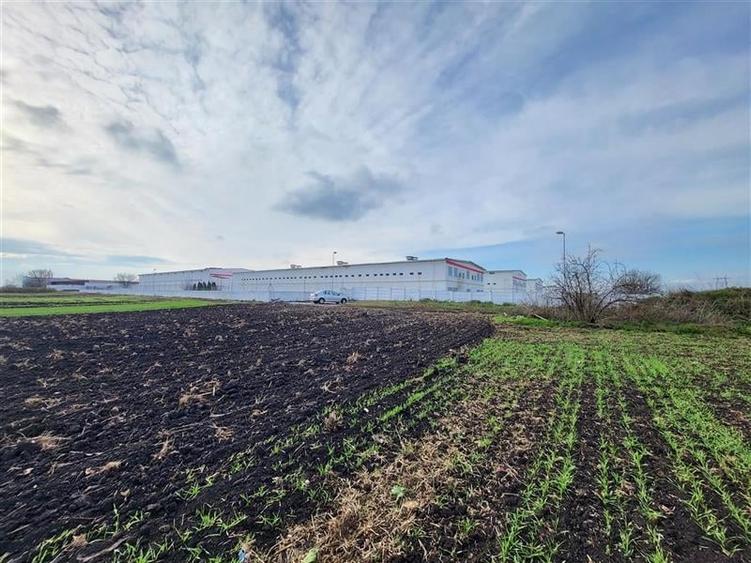 Teren Construcții extravilan de 28100 mp, în Hălchiu