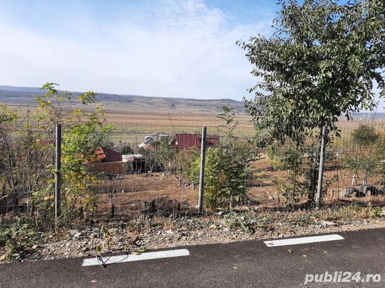 Teren de 520 mp, în Muntenii de Jos