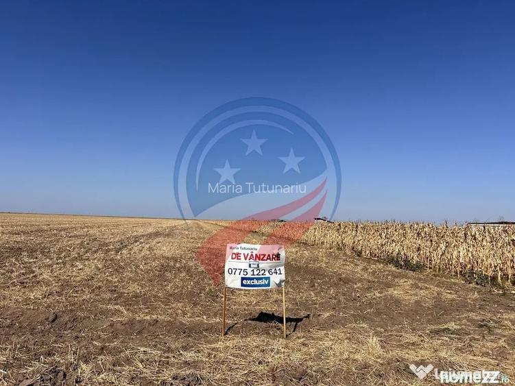 Teren intravilan 5087 mp de vanzare Piele?ti - Pielesti (Dolj)