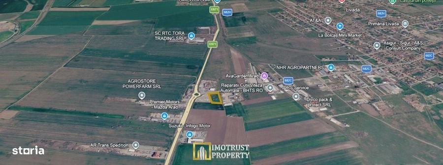 Teren intravilan pentru investitie 5000 mp, Livada, judetul Arad - 1
