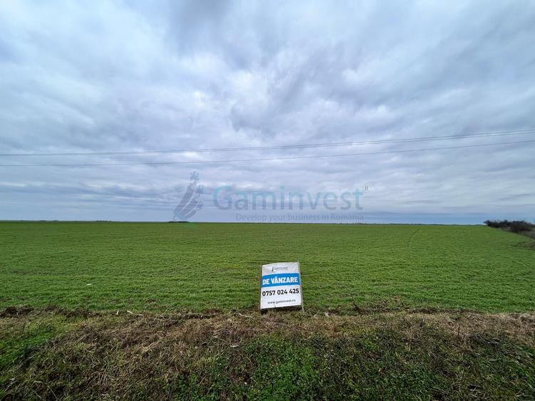 Teren Construcții intravilan de 9125 mp, în Leș