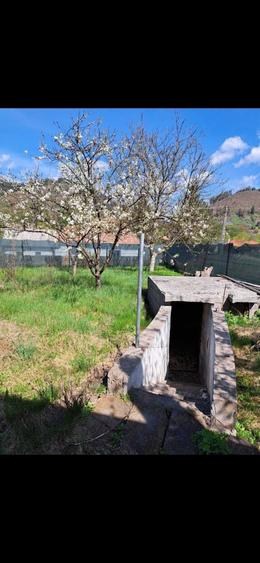 Casa de vanzare Lunca Bradului - 1