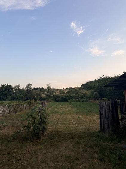 Casă cu 4 camere cu Teren 3500 Mp în Husnicioara