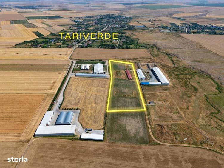 Spațiu comercial, în Tariverde