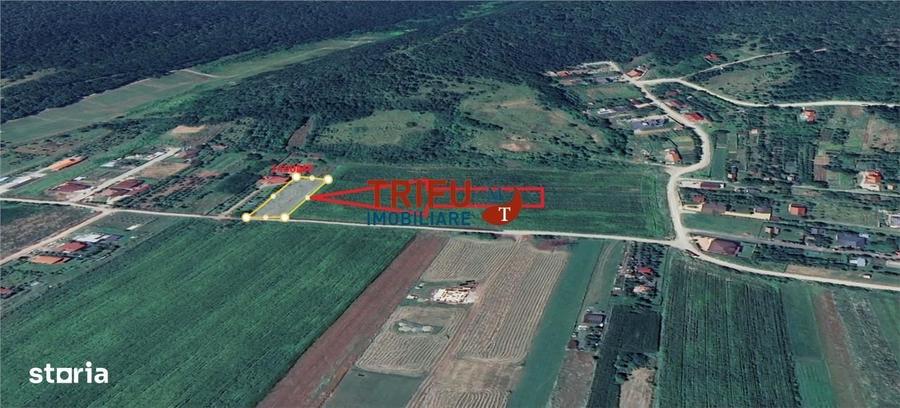 Teren Ideal pentru Construirea Casei de Vis, 1400 mp cu Vedere spre Pa - 4