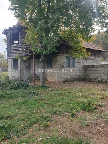 Casă cu Teren 3600 Mp în Balotești