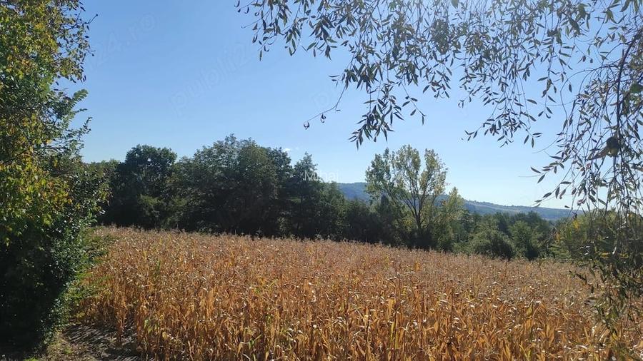 Teren de vanzare - excelent pentru investi?ie sau o proprietate intr-un cadru natural deosebit!