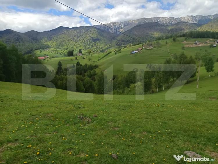 Casă cu 1 camere cu Teren 1093 Mp în Peștera