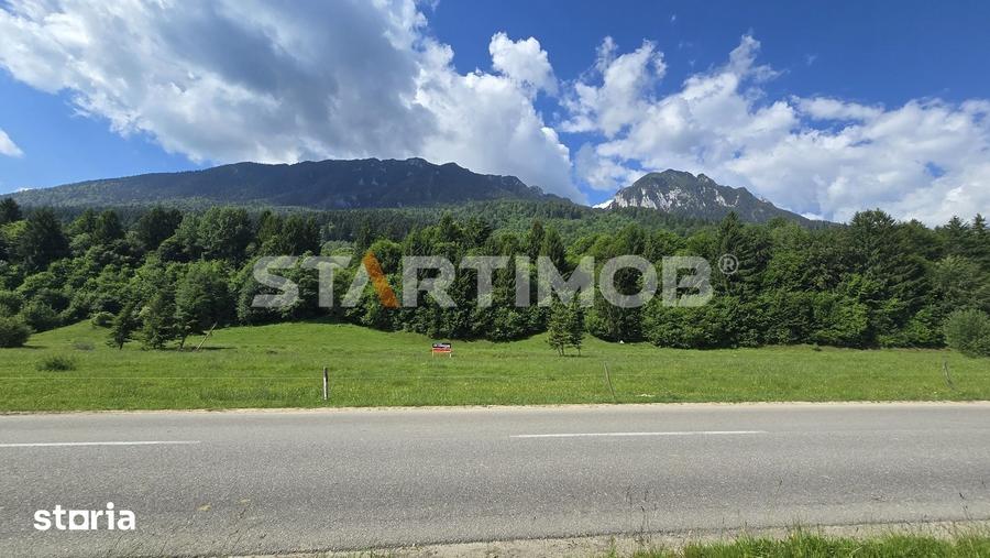 Teren de 7600 mp, în Plaiul Foii