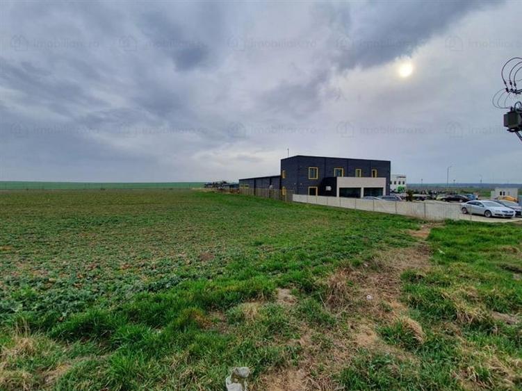 Teren Construcții intravilan de 10000 mp, în Vest