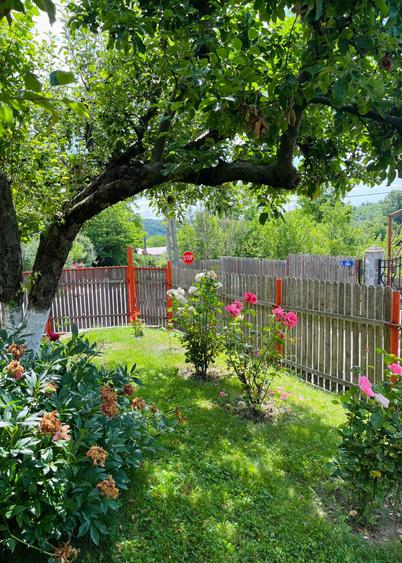 VILA 4 CAMERE CU TEREN 1.670 MP SI LIVADA | VALENII DE MUNTE, PRAHOVA - 2