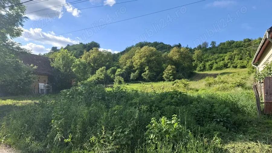 Teren de 2700 mp, în Ivănești