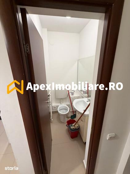 Apartament 3 camere de inchiriat Tineretului Bucuresti | ApexImobiliar - 8