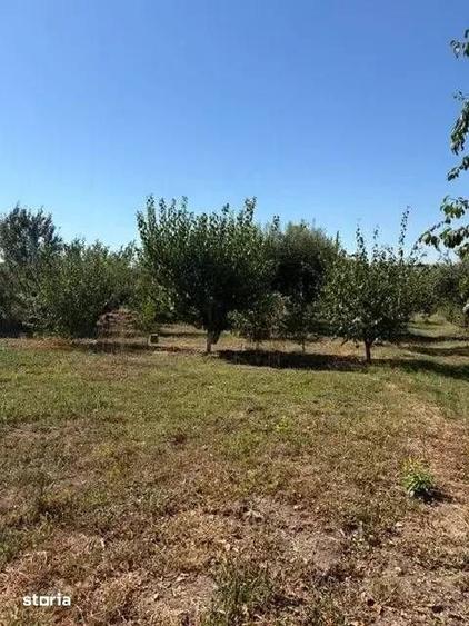 Casă cu 5 camere cu Teren 1790 Mp în Crevedia