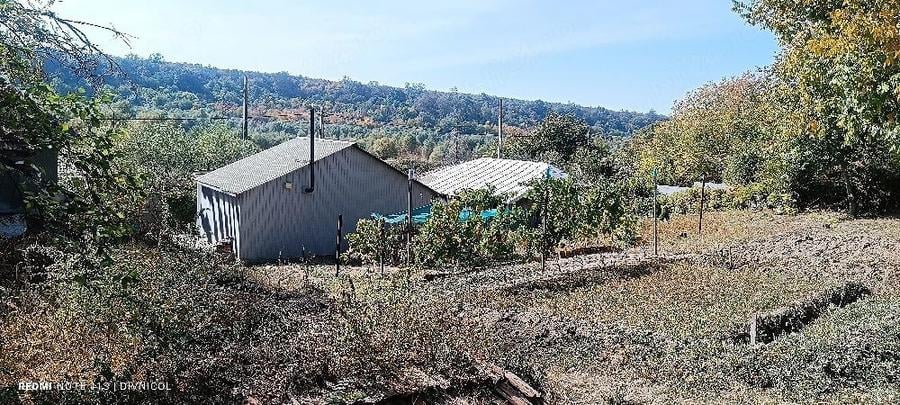 Casă cu Teren 4650 Mp în Vârvor