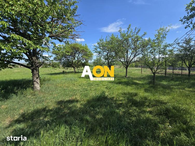 Casă cu 4 camere cu Teren 1438 Mp în Partoș