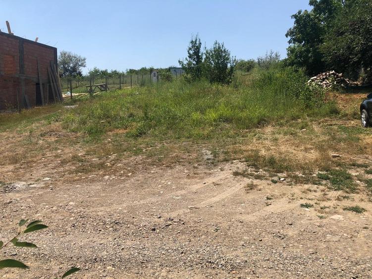Teren de 5000 mp, în Vânători