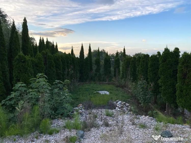 Casă cu 5 camere cu Teren 3000 Mp în Făget