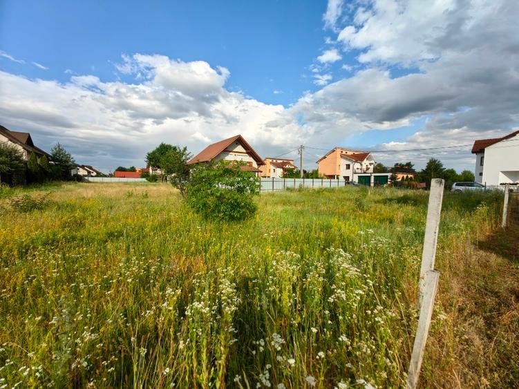 Teren Construcții intravilan în Dumbrava Roșie