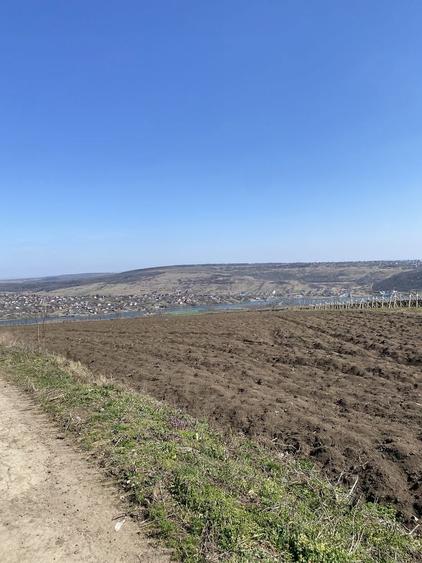 Teren de 3755 mp, în Șorogari