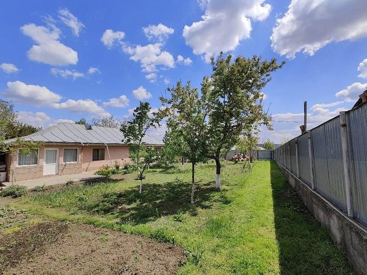 Casă cu 4 camere cu Teren 1280 Mp în Pechea