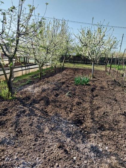 Vand casa ( teren 2.000 mp) in sat Pietrele, jud. Giurgiu - 9