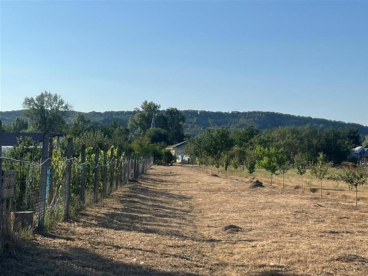 Casă individuală cu 2 camere cu Teren 2297 Mp în Fughiu