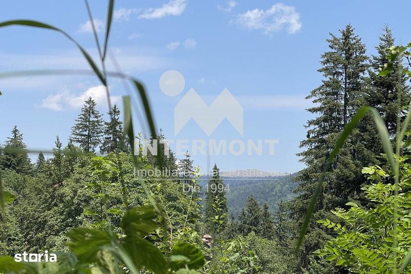 Teren de 496 mp, în Central