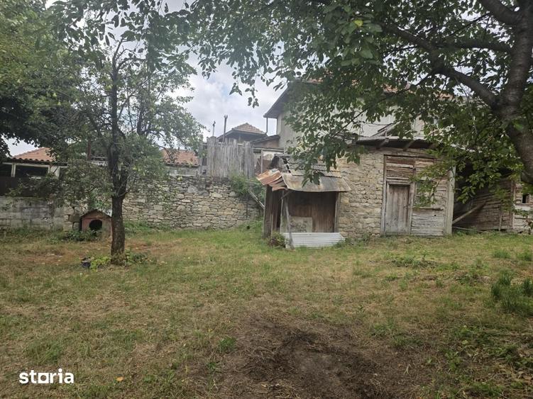 Buciumeni Dealul Mare - 8
