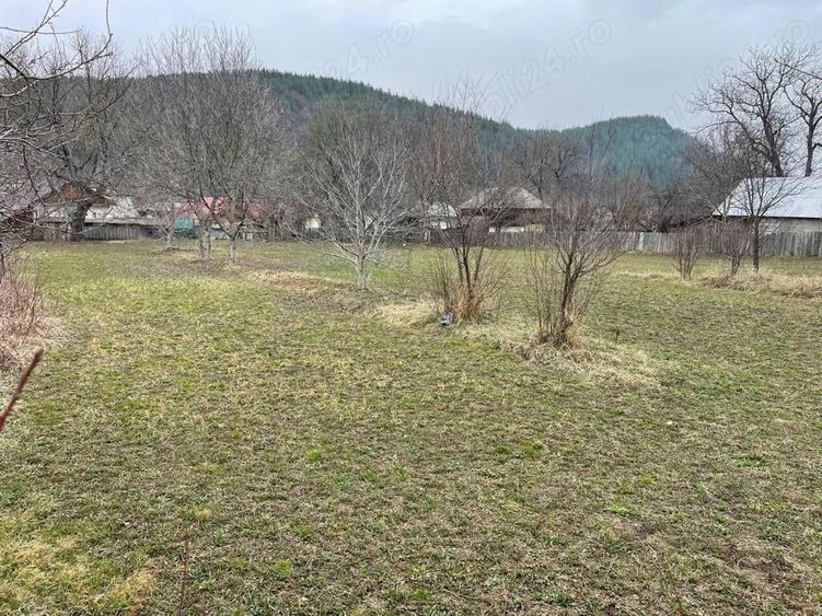 Teren în Câmpuri