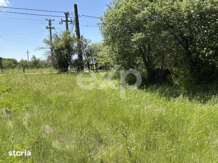 Teren de 2200 mp, în Moșoaia