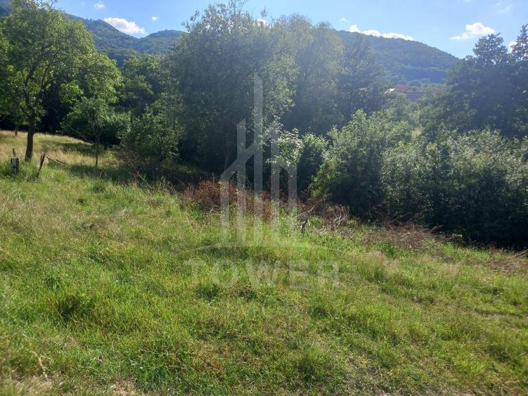 Teren Construcții intravilan de 3673 mp, în Fântânele