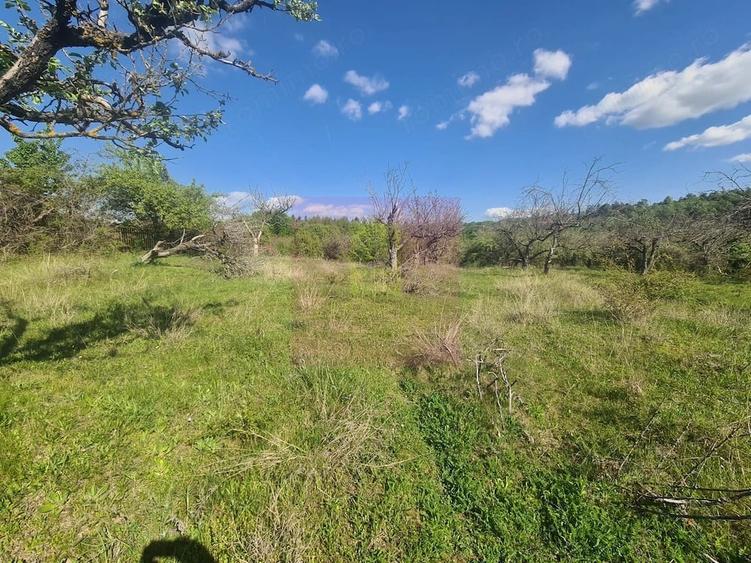 Teren de 1300 mp, în Voila