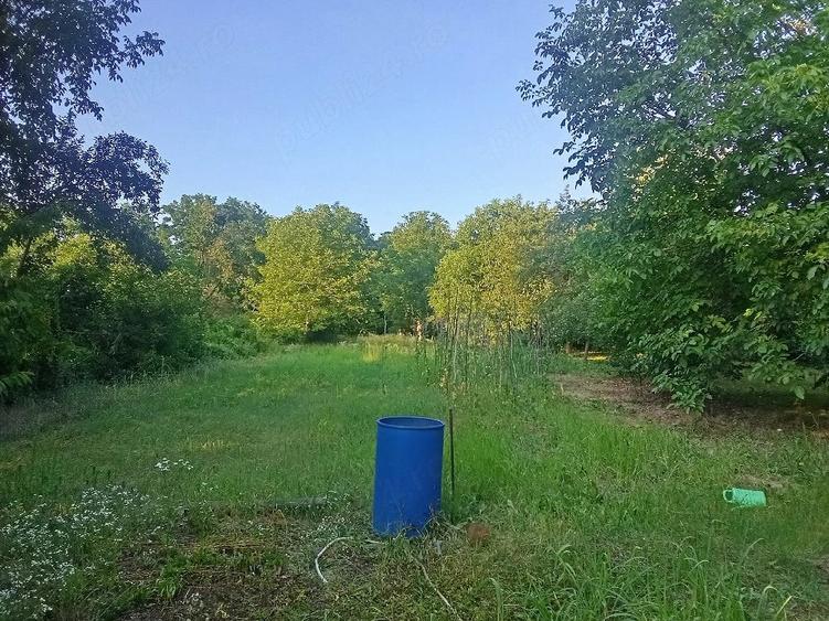 Casă cu Teren 2000 Mp în Central