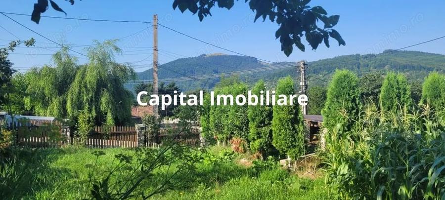 Casă cu Teren 1500 Mp în Valea Doftanei