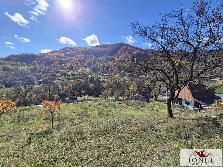 Casă cu 3 camere cu Teren 2636 Mp în Central