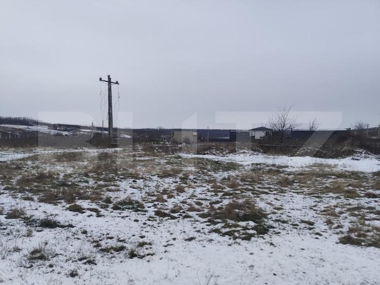 Teren Construcții intravilan de 737 mp, în Dumbrava (Ciurea)