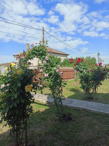 Casă cu Teren 86 Mp în Buturugeni