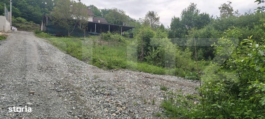 Teren intravilan de vanzare - 813 mp Valea Jelnei - 1