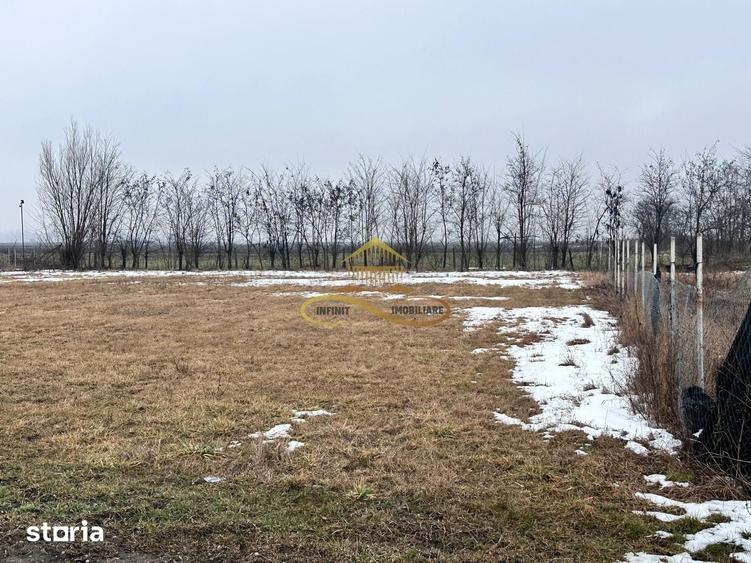Teren de 900 mp, în Săucești