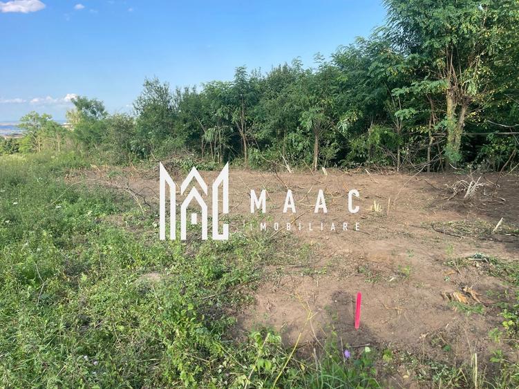 Teren agricol intravilan de 10305 mp, în Bună Ziua